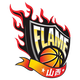 山西竹叶青酒女篮 Logo
