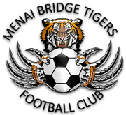 梅奈布里奇老虎 Logo