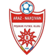 纳希切万 Logo