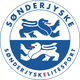 桑德捷斯基 Logo
