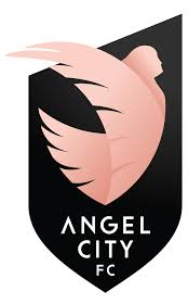 ACFC Logo