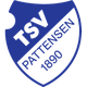 帕滕森 Logo