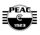 思力FC Logo