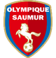 索米尔 Logo