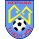 新伊钦 Logo