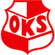 欧科斯 Logo