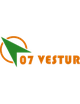 维斯图尔 Logo