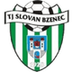 布泽内克 Logo
