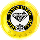 内坦亚马卡比 Logo