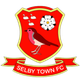 塞尔比 Logo