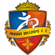 湖南湘涛 Logo