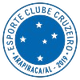 阿拉皮里 Logo
