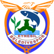 艾内西尔 Logo