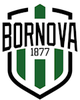 波奴瓦 Logo