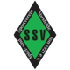 沃尔斯费德 Logo