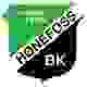 侯尼霍斯 Logo