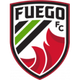 中央谷福格 Logo