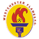 切斯特火焰 Logo