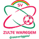 达梅斯后备队 Logo