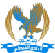 费萨里 Logo