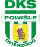 鲍伊斯勒泽尔兹贡 Logo