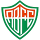 里奥布兰克VN Logo