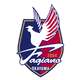 冈山绿雉 Logo